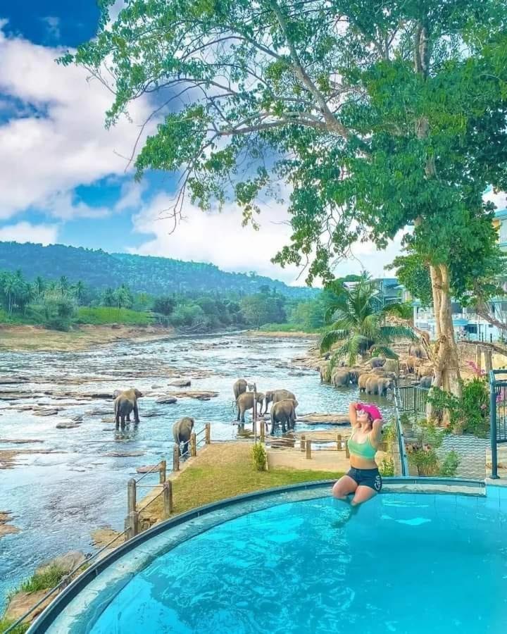 Hotel Elephant Bay Pinnawala (Kegalle) Exterior foto