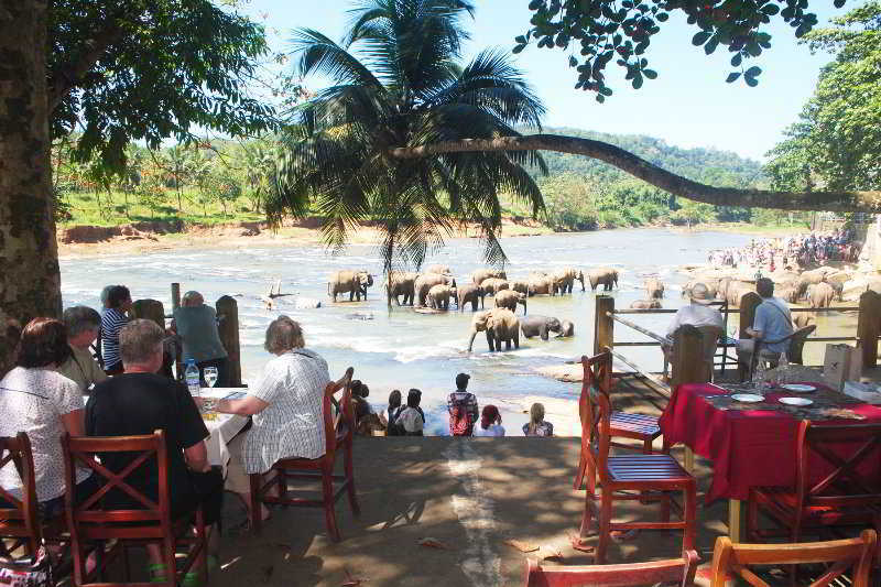 Hotel Elephant Bay Pinnawala (Kegalle) Exterior foto