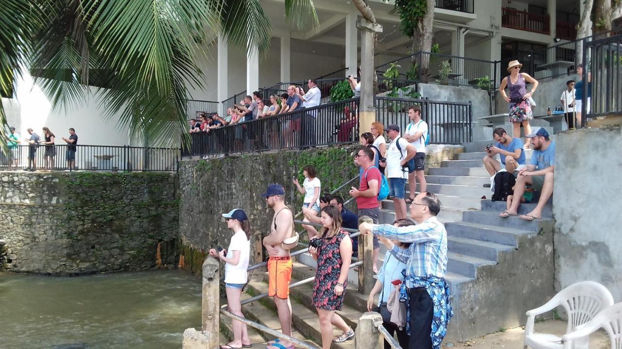 Hotel Elephant Bay Pinnawala (Kegalle) Exterior foto